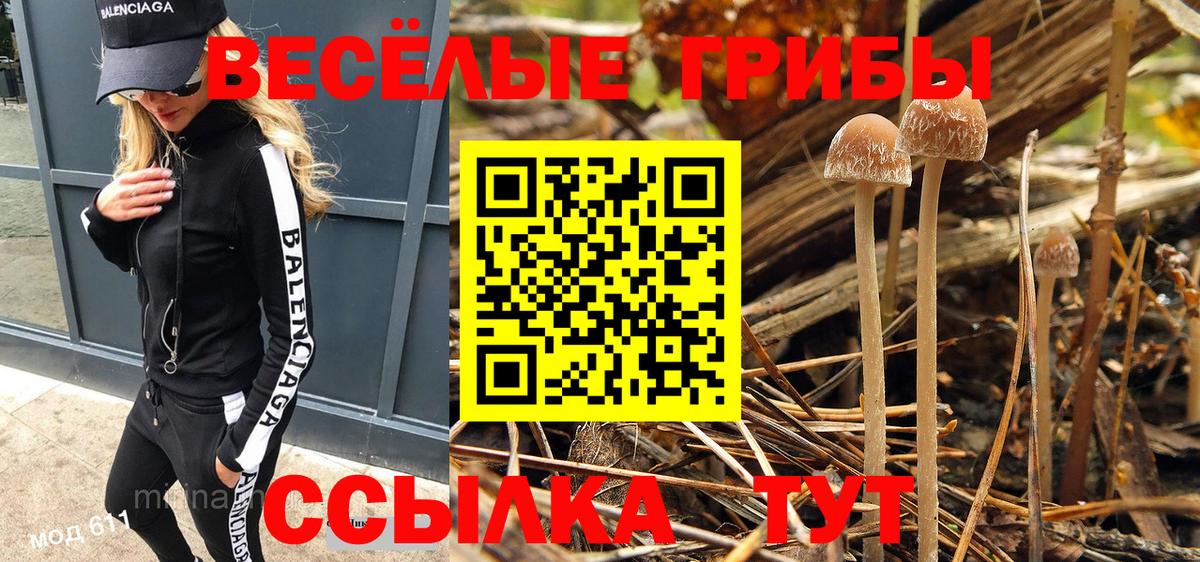 Псилоцибиновые грибы GOLDEN TEACHER  Вход с VPN  Алексин 